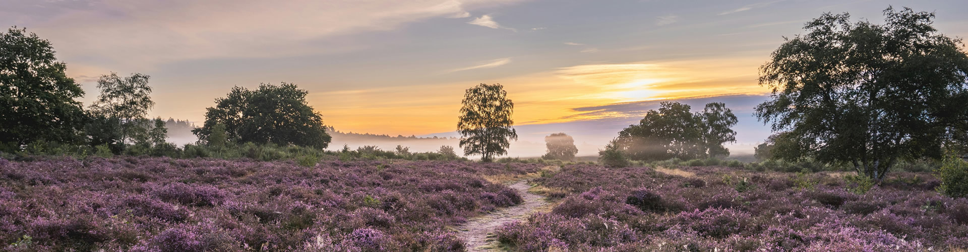 03.jpg